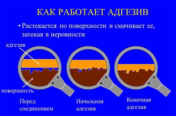 Как работает адгезия