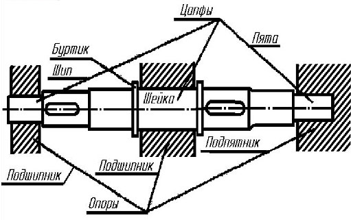 Что такое цапфа